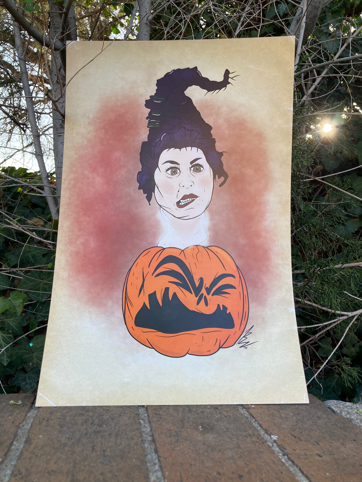 Spirit of the Sanderson's Poster Pack & Individual