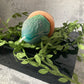 Baby Audrey II sculpted candle