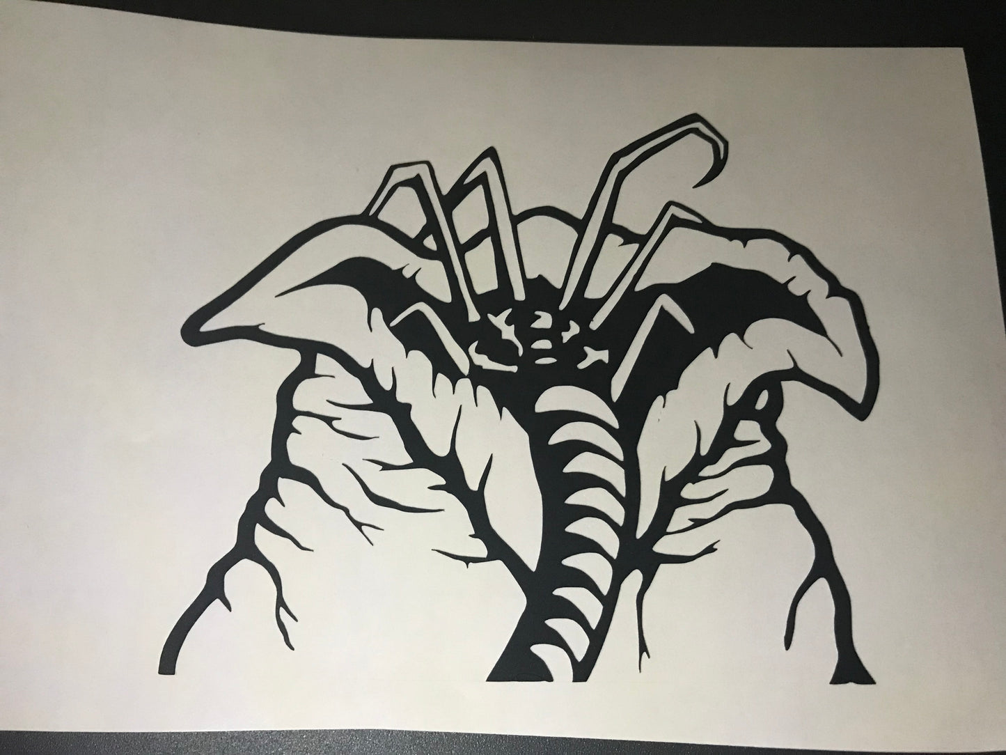 Egg Sac car window vinyl decal